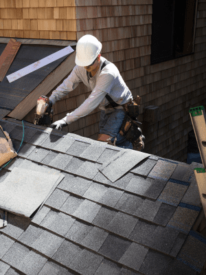 composition roofing bellevue - Skyline Roofing & Repair