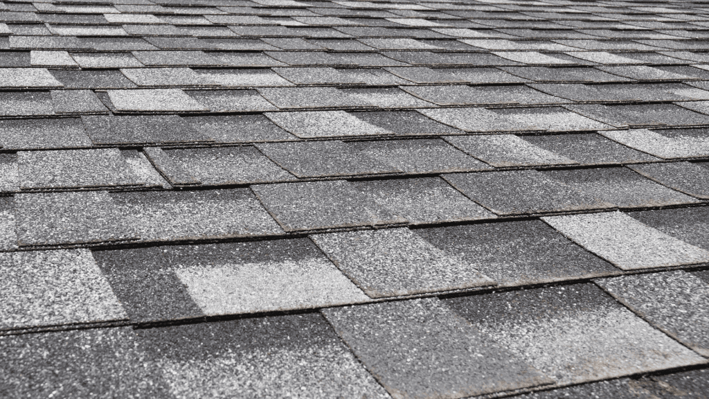 composition roofing-Bellevue WA